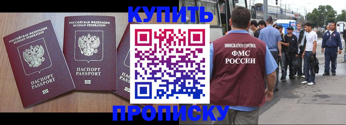 прописка 2025 в Волхове